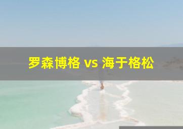 罗森博格 vs 海于格松